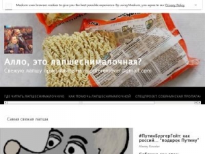 Скриншот главной страницы сайта noodleremover.news